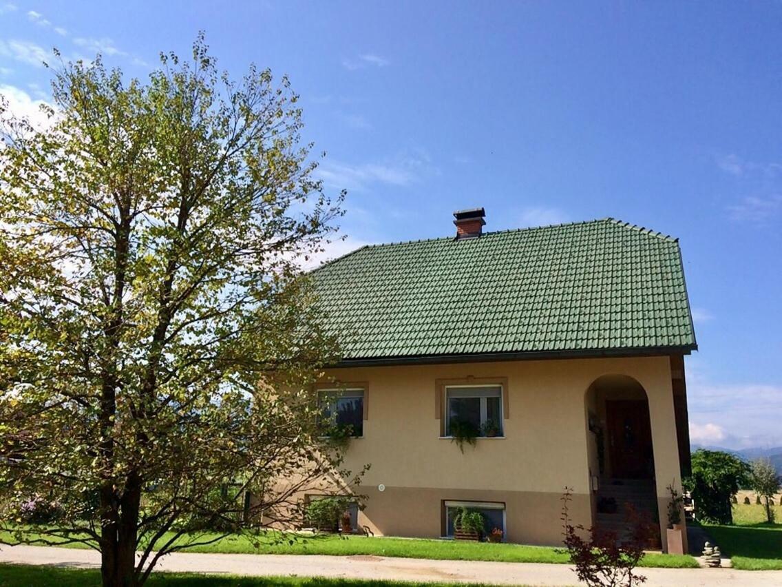 Entire Loft Close To Beautiful Logar Valley Recica ob Savinji Kültér fotó